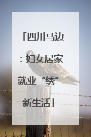四川马边：妇女居家就业“绣”新生活