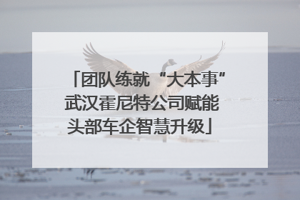 团队练就“大本事” 武汉霍尼特公司赋能头部车企智慧升级