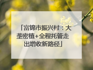 富锦市振兴村：大垄密植+全程托管走出增收新路径