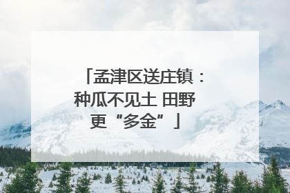 孟津区送庄镇：种瓜不见土 田野更“多金”