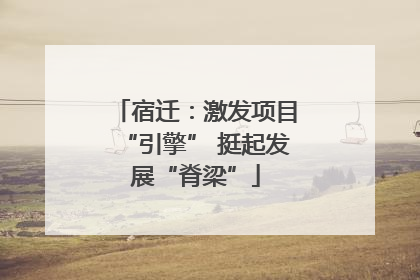 宿迁：激发项目“引擎” 挺起发展“脊梁”