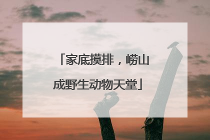 家底摸排，崂山成野生动物天堂