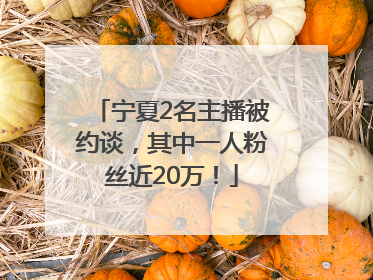 宁夏2名主播被约谈，其中一人粉丝近20万！