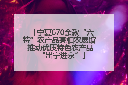 宁夏670余款“六特”农产品亮相农展馆 推动优质特色农产品“出宁进京”