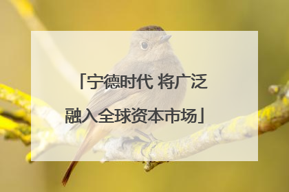 宁德时代 将广泛融入全球资本市场