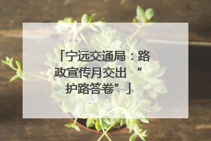 宁远交通局：路政宣传月交出 “护路答卷”