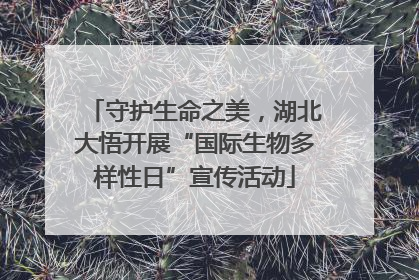 守护生命之美，湖北大悟开展“国际生物多样性日”宣传活动