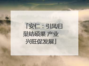 安仁：引凤归巢结硕果 产业兴旺促发展