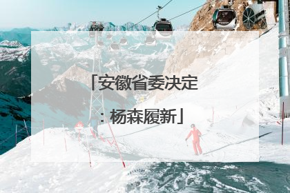 安徽省委决定：杨森履新