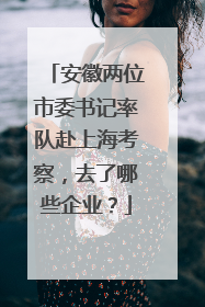 安徽两位市委书记率队赴上海考察，去了哪些企业？