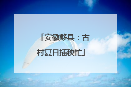 安徽黟县：古村夏日插秧忙