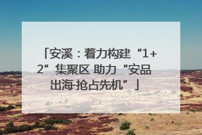 安溪：着力构建“1+2”集聚区 助力“安品出海·抢占先机”