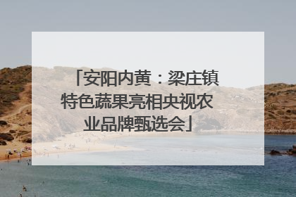 安阳内黄：梁庄镇特色蔬果亮相央视农业品牌甄选会