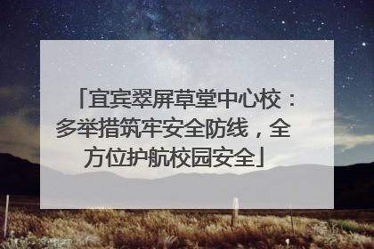 宜宾翠屏草堂中心校：多举措筑牢安全防线，全方位护航校园安全