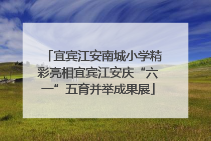 宜宾江安南城小学精彩亮相宜宾江安庆“六一”五育并举成果展