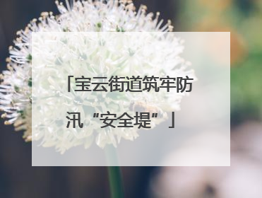宝云街道筑牢防汛“安全堤”