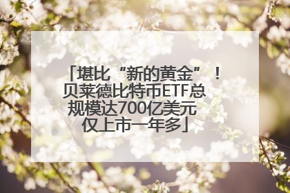 堪比“新的黄金”！贝莱德比特币ETF总规模达700亿美元 仅上市一年多