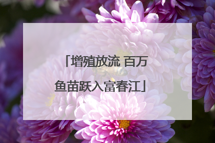 增殖放流 百万鱼苗跃入富春江