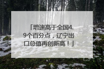 增速高于全国4.9个百分点，辽宁出口总值再创新高！