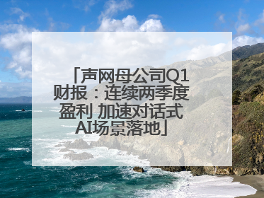 声网母公司Q1财报：连续两季度盈利 加速对话式AI场景落地