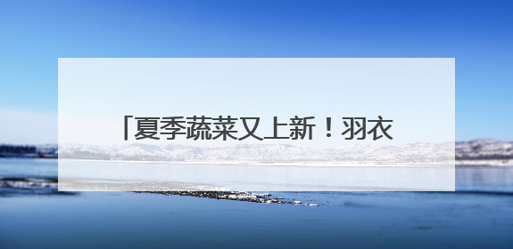夏季蔬菜又上新！羽衣甘蓝销售同比猛增70%，盒马新推升级版