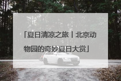 夏日清凉之旅丨北京动物园的奇妙夏日大赏
