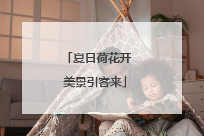 夏日荷花开 美景引客来