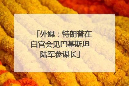 外媒：特朗普在白宫会见巴基斯坦陆军参谋长