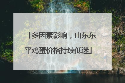 多因素影响，山东东平鸡蛋价格持续低迷