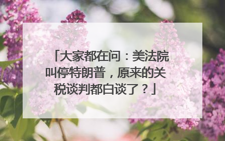 大家都在问：美法院叫停特朗普，原来的关税谈判都白谈了？