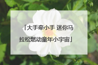 大手牵小手 迷你马拉松燃动童年小宇宙