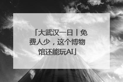 大武汉一日丨免费人少，这个博物馆还能玩AI