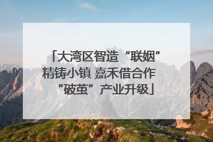 大湾区智造“联姻”精铸小镇 嘉禾借合作“破茧”产业升级