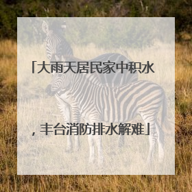 大雨天居民家中积水，丰台消防排水解难