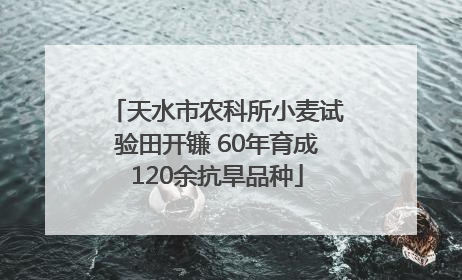 天水市农科所小麦试验田开镰 60年育成120余抗旱品种