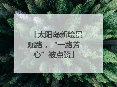 太阳岛新绘景观路，“一路芳心”被点赞