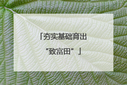夯实基础育出“致富田”