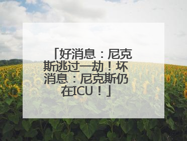 好消息：尼克斯逃过一劫！坏消息：尼克斯仍在ICU！