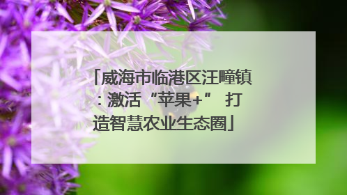 威海市临港区汪疃镇：激活“苹果+” 打造智慧农业生态圈