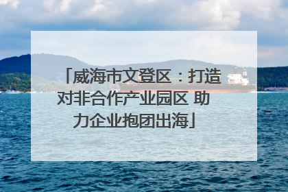 威海市文登区：打造对非合作产业园区 助力企业抱团出海