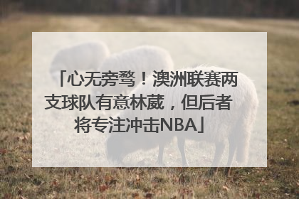 心无旁骛！澳洲联赛两支球队有意林葳，但后者将专注冲击NBA