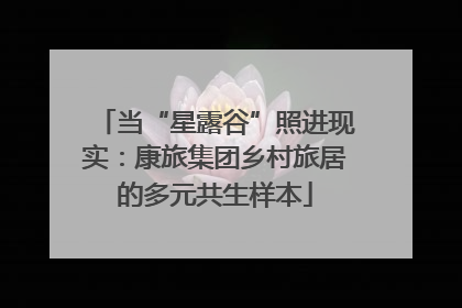 当“星露谷”照进现实：康旅集团乡村旅居的多元共生样本