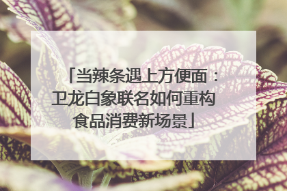 当辣条遇上方便面：卫龙白象联名如何重构食品消费新场景