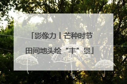 影像力丨芒种时节 田间地头绘“丰”景