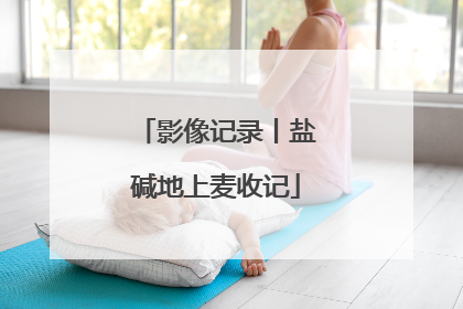 影像记录丨盐碱地上麦收记