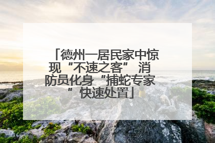 德州一居民家中惊现“不速之客” 消防员化身“捕蛇专家”快速处置