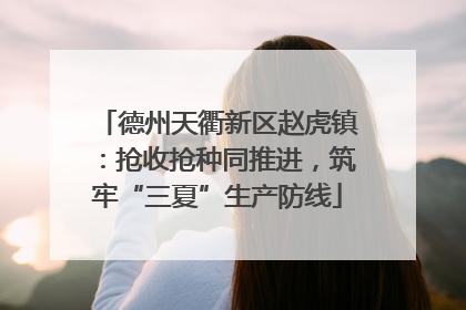 德州天衢新区赵虎镇：抢收抢种同推进，筑牢“三夏”生产防线