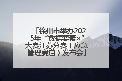 徐州市举办2025年“数据要素×”大赛江苏分赛（应急管理赛道）发布会