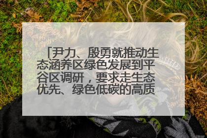尹力、殷勇就推动生态涵养区绿色发展到平谷区调研，要求走生态优先、绿色低碳的高质量发展之路