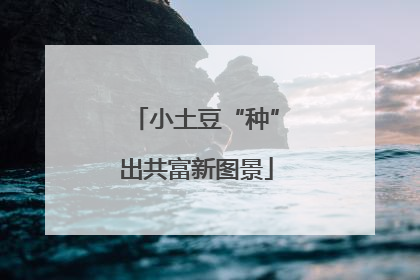 小土豆“种”出共富新图景
